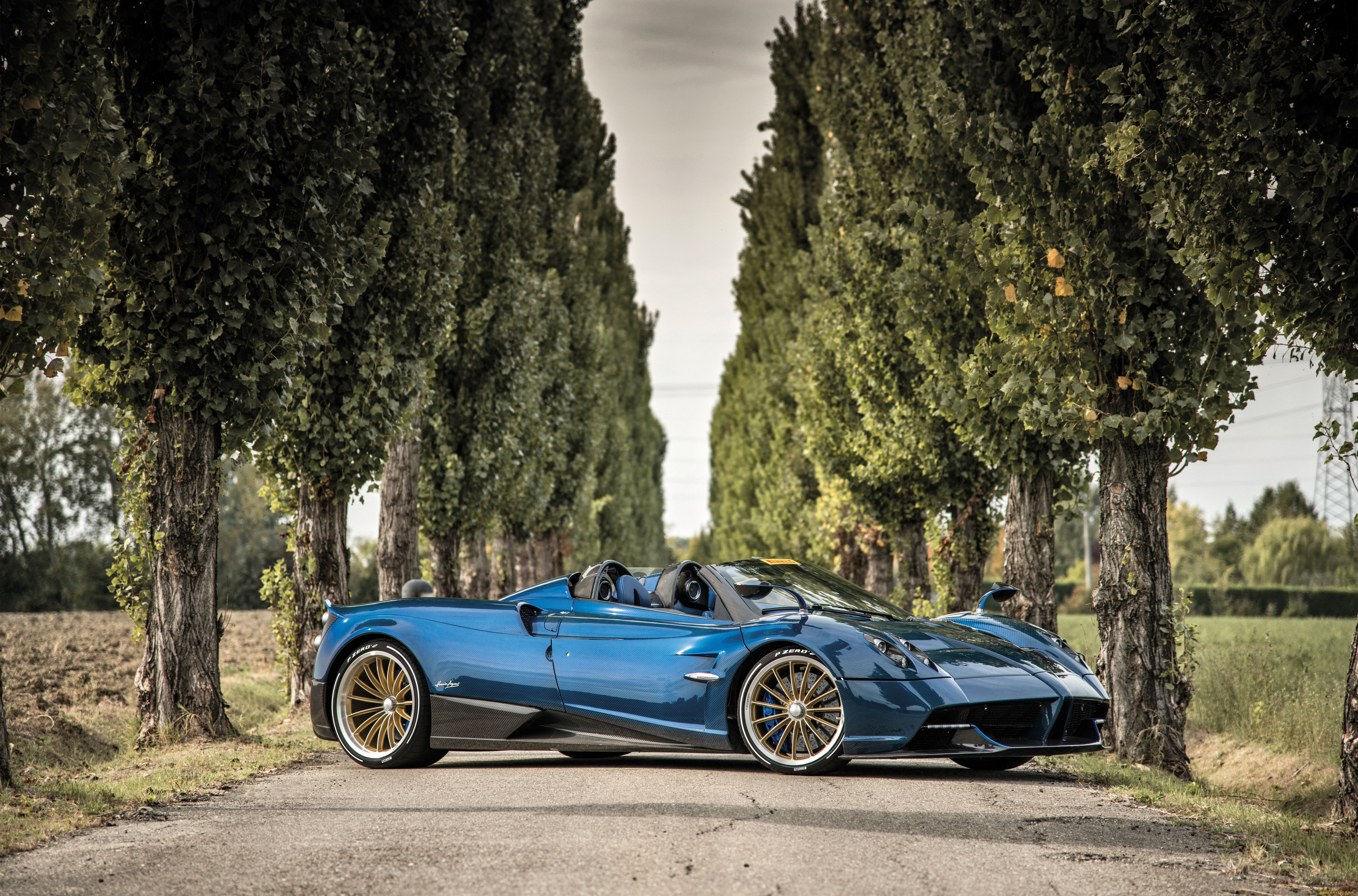 ����������, pagani